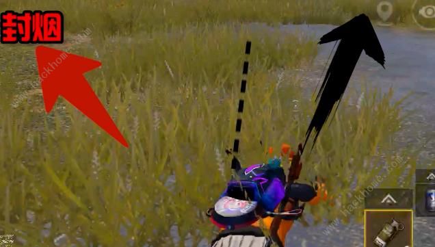 和平精英怎么用车赌假车库？