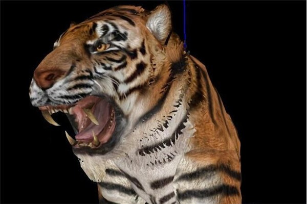 上古卷轴5大老虎MOD1