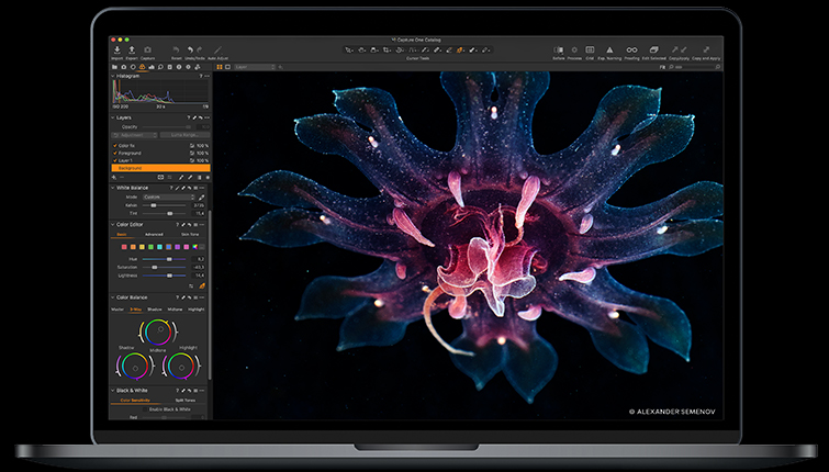 Capture One Express(索尼相片编辑软件)1