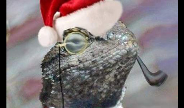 微软索尼“难兄难弟”!PSN遭黑客组织Lizard Squad攻击