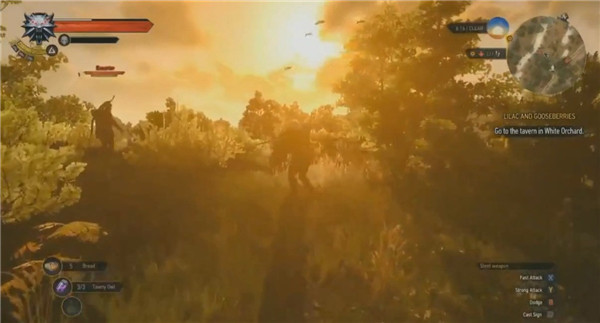 GDC 2015:《巫师3:狂猎》新实机演示曝光 画面绝美！