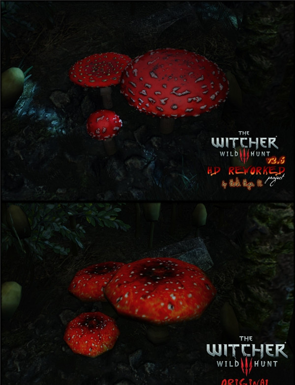 《巫师3:狂猎》最新更新将呈现更逼真毒蘑菇