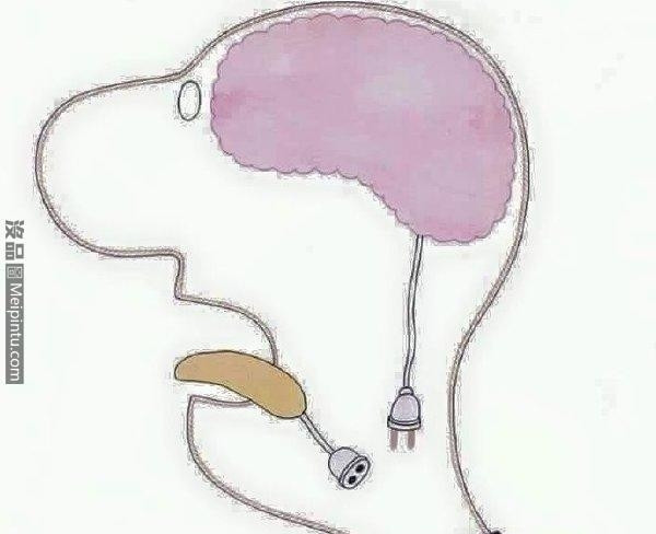 宅男三观竟毁:御姐与萝莉奇葩动作 抽动你的神经