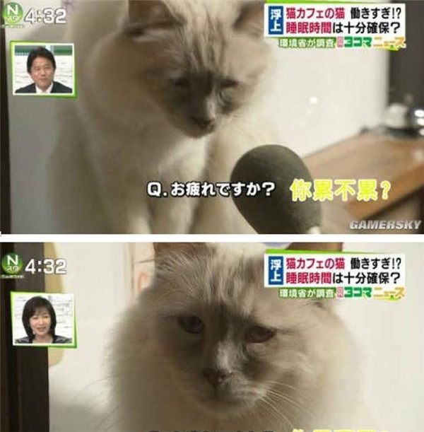 宅男三观竟毁:御姐与萝莉奇葩动作 抽动你的神经