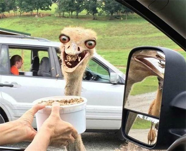 宅男三观竟毁:御姐与萝莉奇葩动作 抽动你的神经