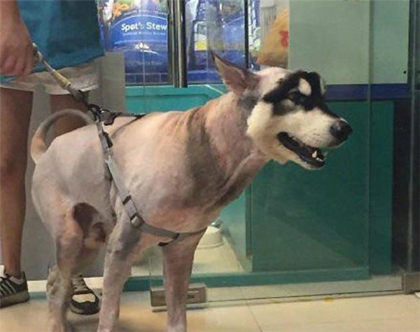 宅男三观竟毁:御姐与萝莉奇葩动作 抽动你的神经