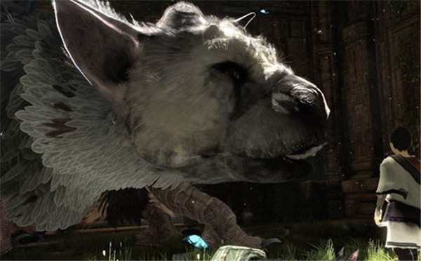 《最后的守护者》年内确认发售 神奇光束E3展将曝光