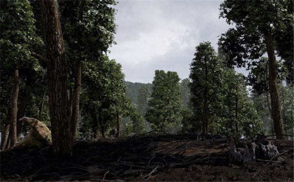 虚幻4制作的风景图 画面逼真出乎您的意料