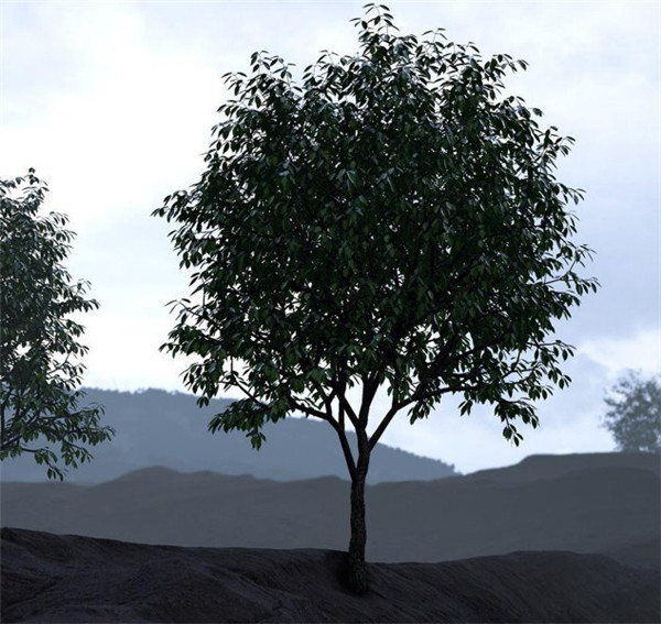 虚幻4制作的风景图 画面逼真出乎您的意料