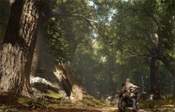 PS4独占《人生尽头》最新4K截图 逆天场景忒逼真