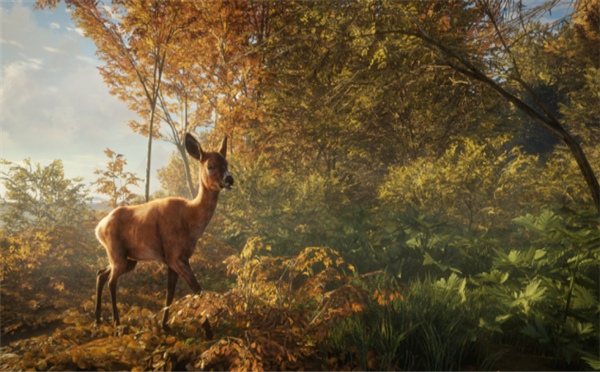 《猎人:荒野的呼唤》实机宣传片欣赏 靓丽风景一览无余