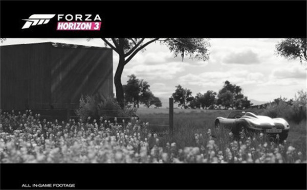 极限竞速:地平线3