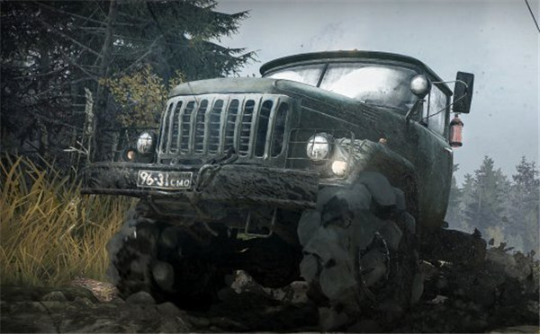 旋转轮胎:泥泞奔驰