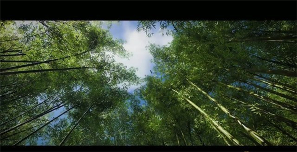 Denny解释《对马岛之鬼》为何来的那么迟?