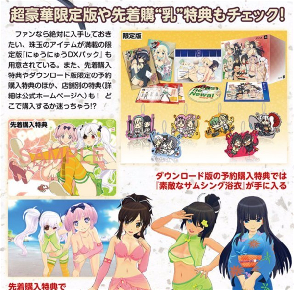 绅士游戏《闪乱神乐爆裂Re:Newal》最新情报 太性感经常遭骚扰