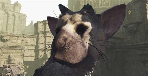 最后的守护者》PSVR版首批截图曝光 主角可爱又庄重