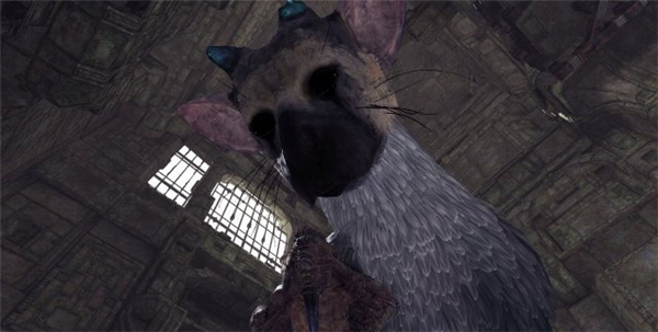 最后的守护者》PSVR版首批截图曝光 主角可爱又庄重