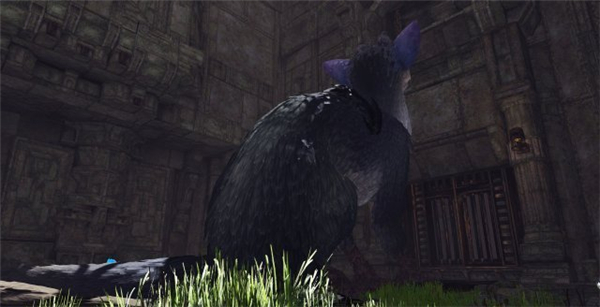 最后的守护者》PSVR版首批截图曝光 主角可爱又庄重