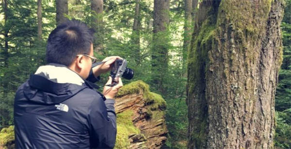 蜗牛数字:VR游戏《方舟公园》3月22日三大平台全球同步发售