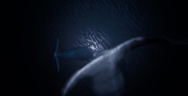 《超越之蓝》预告片首曝 寓教于乐的海洋游戏