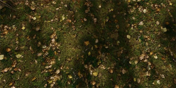 《上古卷轴5》3D风景Mod展示 超逼真树木花卉模型