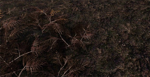 《上古卷轴5》3D风景Mod展示 超逼真树木花卉模型