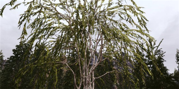 《上古卷轴5》3D风景Mod展示 超逼真树木花卉模型