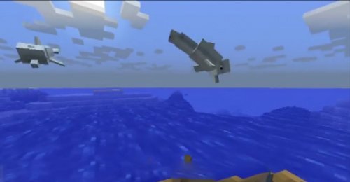 《我的世界》海豚驯服教程 海豚怎么驯服