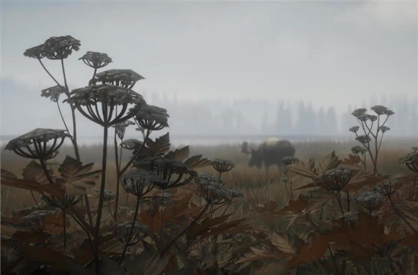 《猎人:荒野的呼唤》2019版登陆Steam 体验狩猎乐趣