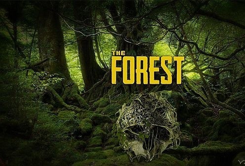 能力有限! 恐怖游戏《森林》开发商表示只能登陆PC及PS4