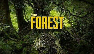 恐怖游戏《森林》销量超530万 初始预算仅12.5万美元
