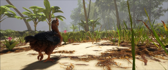  ATLAS出海注意要点分享 出海要注意什么 