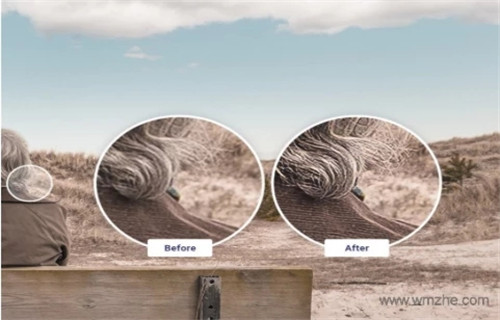 Topaz JPEGtoRAW AI(JPEG转RAW格式工具)