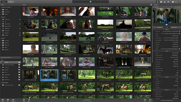 Sony Catalyst Production Suite(视频剪辑软件)