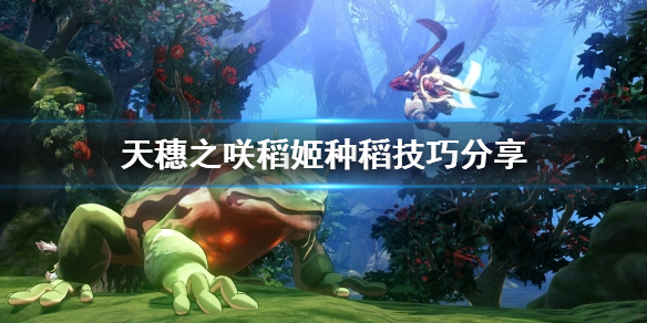 天穗之咲稻姬种稻怎么种