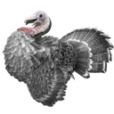 方舟生存进化感恩节代码是什么