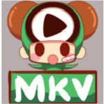 3delite MKV Tag Editor(视频标签编辑工具)