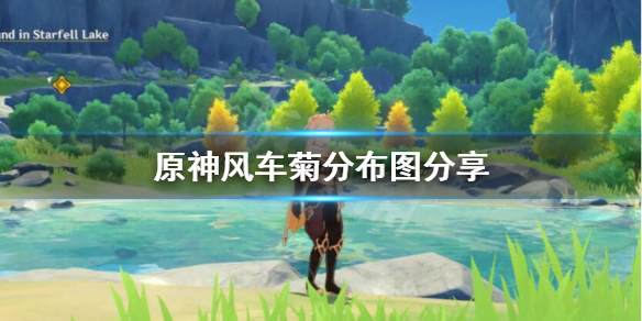 原神风车菊哪里采集