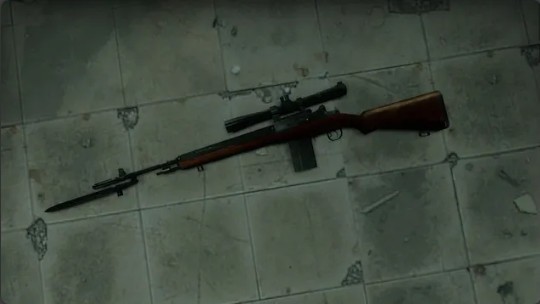 求生之路2M14狩猎步枪1