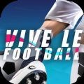 Vive le Football预约