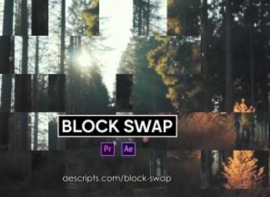 Block Swap1