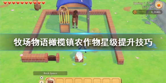 牧场物语橄榄镇与希望的大地农作物星级怎么提升