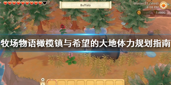 牧场物语橄榄镇与希望的大地体力怎么使用