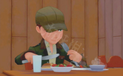 牧场物语橄榄镇与希望的大地料理恢复量怎么看