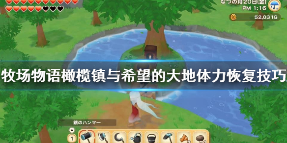 牧场物语橄榄镇与希望的大地体力怎么恢复
