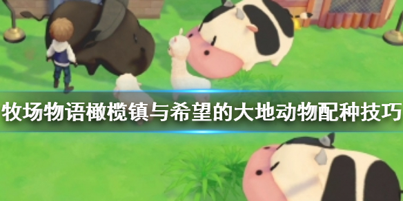 牧场物语橄榄镇与希望的大地动物怎么配种