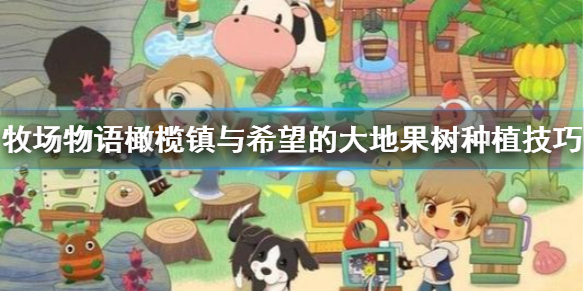 牧场物语橄榄镇与希望的大地果树怎么种