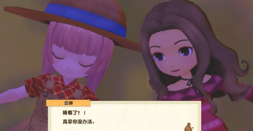 牧场物语橄榄镇与希望的大地冒险嘭有什么用