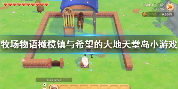 牧场物语橄榄镇与希望的大地天堂岛小游戏怎么玩