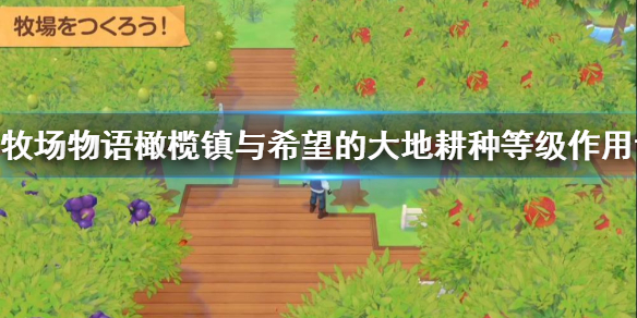 牧场物语橄榄镇与希望的大地耕种等级有什么用